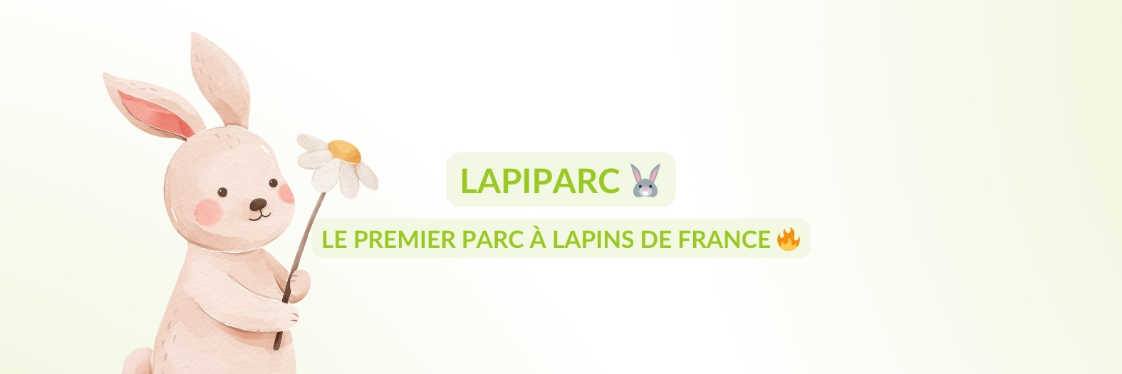 Découvrez le Premier LAPIPARC de France : Une ferme pédagogique innovante pour Lapins et Cochons d’Inde à Rouen